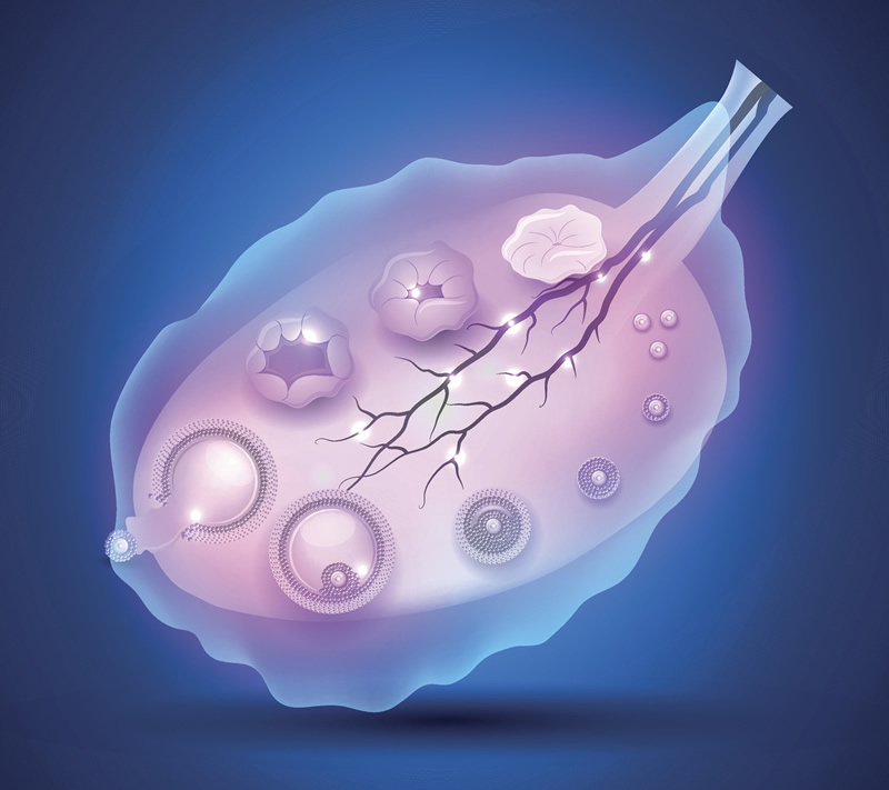 〖乌鲁木齐助孕全攻略-私立机构试管价格对比,大龄女性备孕秘籍？〗